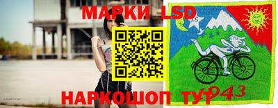 apvp Аргун