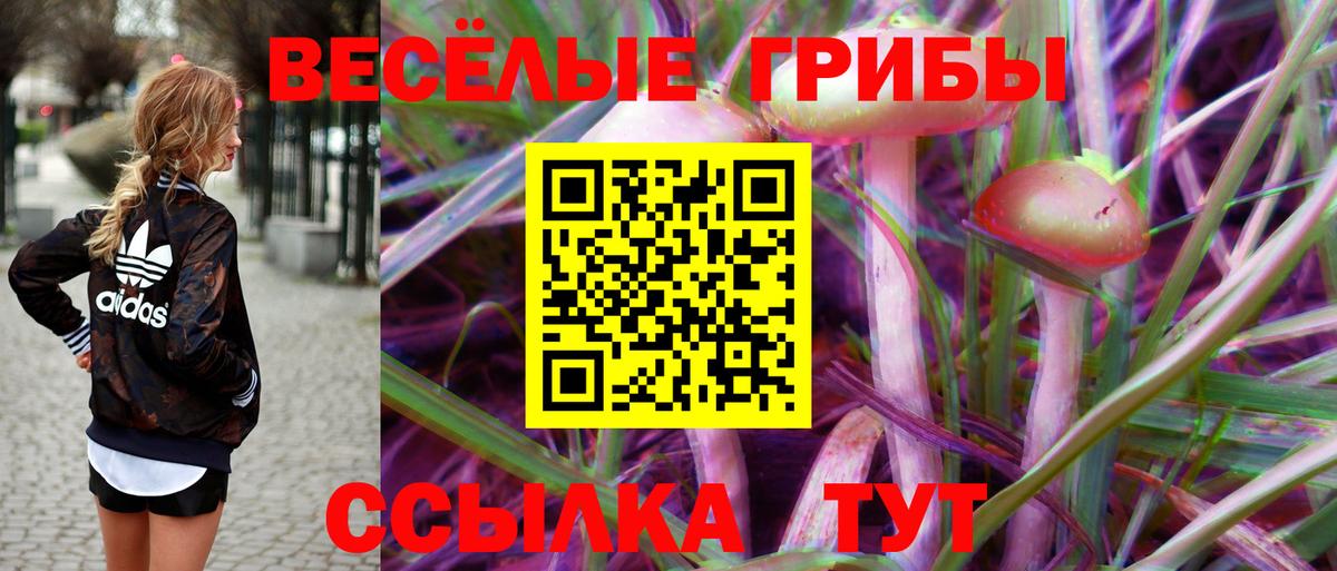 Галлюциногенные грибы Psilocybine cubensis Белая Калитва